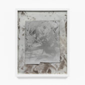 Even in the Case of Lifeless Things, 2O2O, solarized bleached / toned gelatin silver prints mounted on museum board, 14 x 11 inches