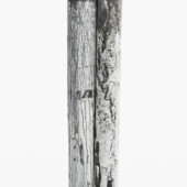 Pale 15, 2O2O, toned gelatin silver print, plaster, 24 x 6 x 4 inches