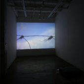 Julia Hechtman, Installation view from series 'Not Once', 2019, HD, single-channel, video projection, sound