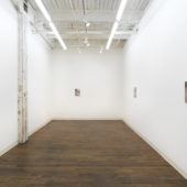 Installation View, The Regard, 2017