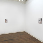 Installation View, The Regard, 2017