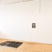 Installation view, Free Range Anxiety