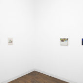 Sean Sullivan, In the shade of a tree, installation view