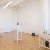 Installation view High Water Marks 2019