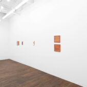 Stacy Jo Scott, Writ in Water, installation view