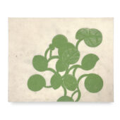 Sean Sullivan, Basil. 2025, oil stick on Kitakata paper, 8.25 x 10.25 inches